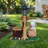 Sitting Dog Solar Lantern Planter Statue