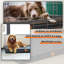 Lit en polyester pour animaux-100751781