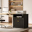 73cm Wide 2 -Drawer File Cabinet-2021688801