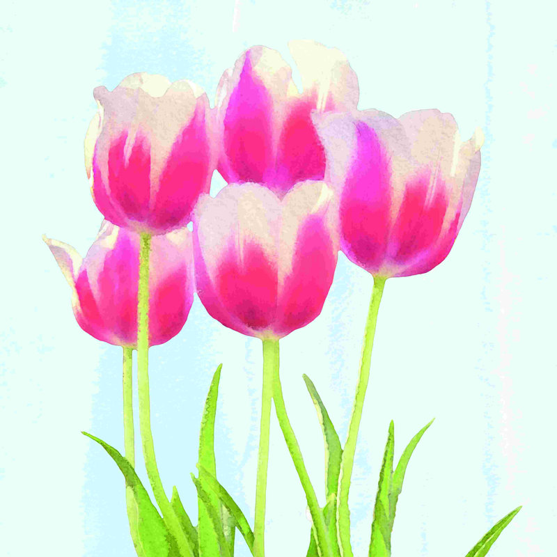 Fresh Spring Tulips III - peinture sur toile tendue, H 20 po x l 20 po