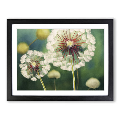 Glowing Dandelion Flowers - Framed Print