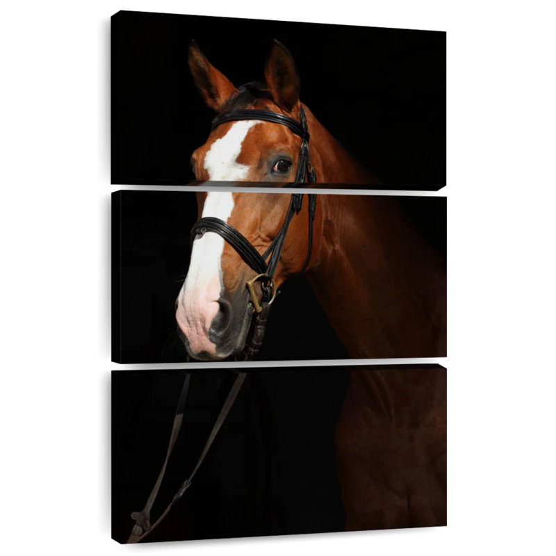 Cheval pur-sang Brampt dans le noir, H 32 po x l 20 po