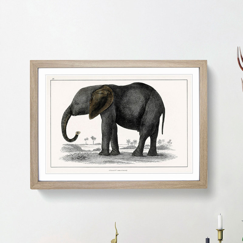 Elephant by Oliver Goldsmith - Picture Frame Painting Print, 36cm H x 48cm W x 2cm D, Oak Framed