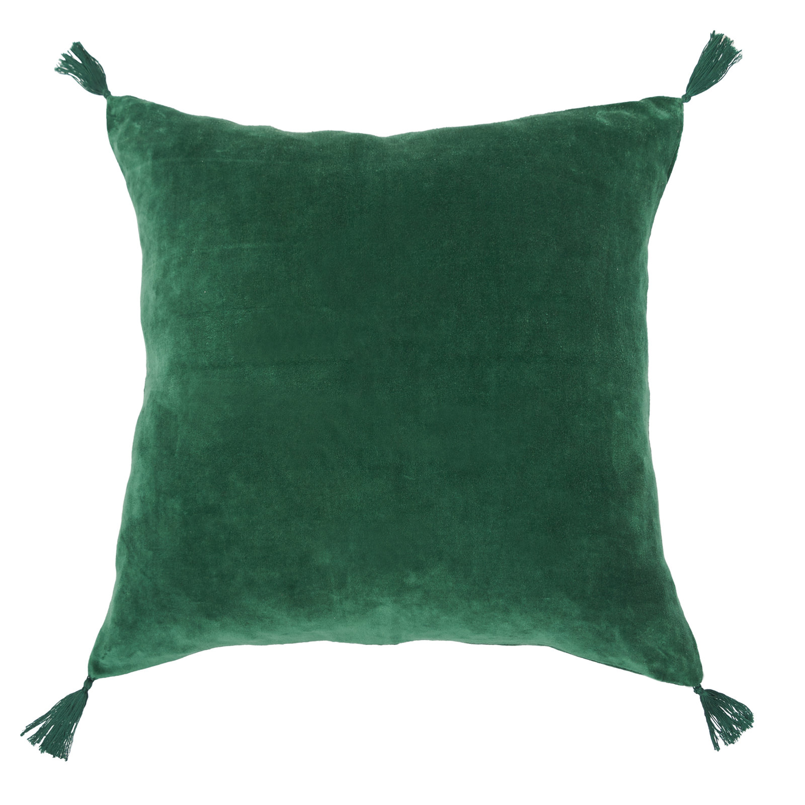 Rodrick Throw Square Pillow Cover & Insert, Green