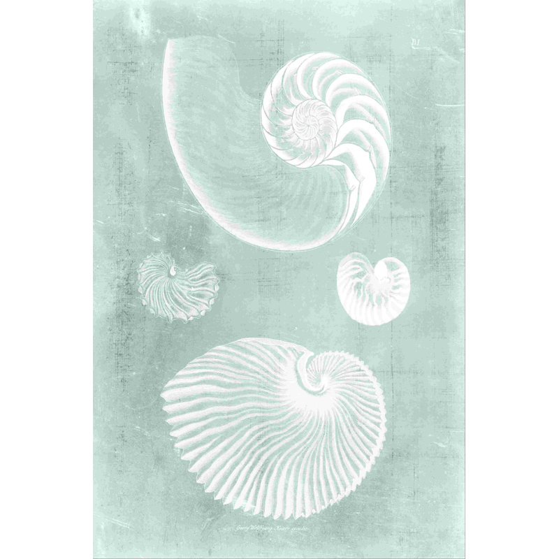 Nautilus sur Spa II, H 48 po x l 32 po x P 1,25 po