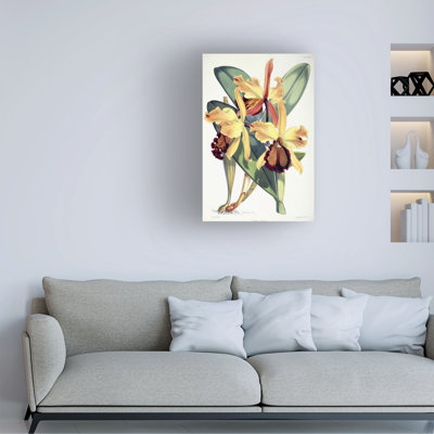 Walter Hood Fitch Cattleya Dowiana, C.1862-1877 Canvas Art