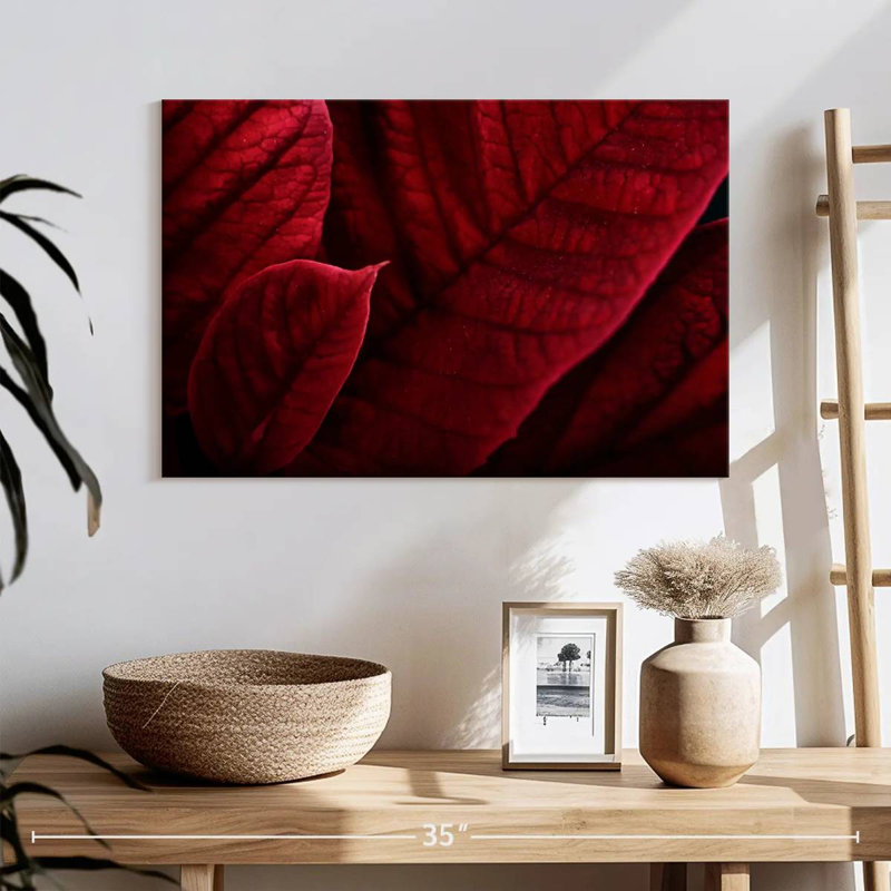 Bractées rouges de poinsettias, H 16 po x l 24 po