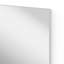 Neponset Glass Flat Wall Mirror