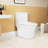 15.55 In Comfort Height Ceramic Toilet, 1.1/1.6 Flush, White, Soft Close Seat, & One White Height, Flushing, Approved