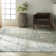 Rush Abstract Area Rug