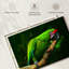 Ara militaire-107922823