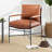 Razi Faux Leather Armchair