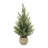Potted Mini Pine Tree (Set of 2)