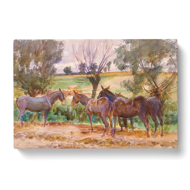 Mules And Donkeys by John Singer Sargent - Wrapped Canvas, 40cm H x 60cm W x 3cm D