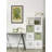 " Common Grape Vine "-2021589203
