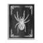 «Black & White Spider» encadrée sur bois par Lil 'Rue, impression-1790308556-1790308561