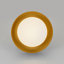 Matte Black Drum LED Flush Mount with Frosted Glass Shade 