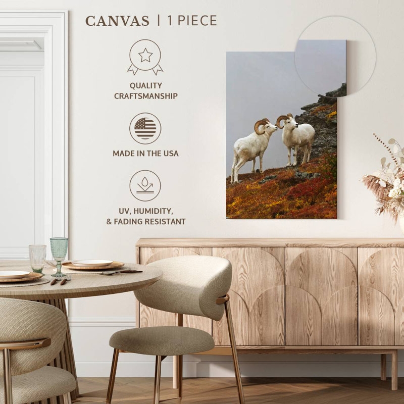 Mouflon blanc, H 24 po x l 16 po