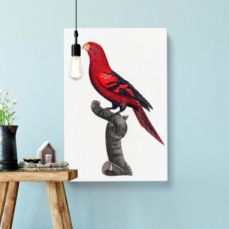 A Violet-Necked Lory by F. Levaillant - Wrapped Canvas Painting, 50cm H x 35cm W x 3cm D