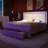 Caniya Upholstered Platform Storage Bed-1111701120-1111701122