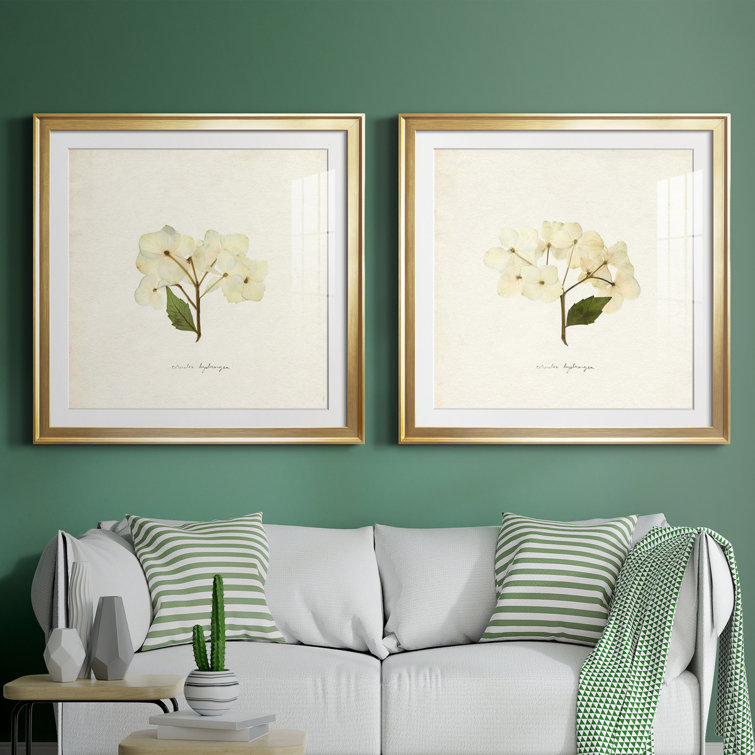 Cornales Hydrangea I Cornales Hydrangea I - 2 Piece Picture Frame Print Set