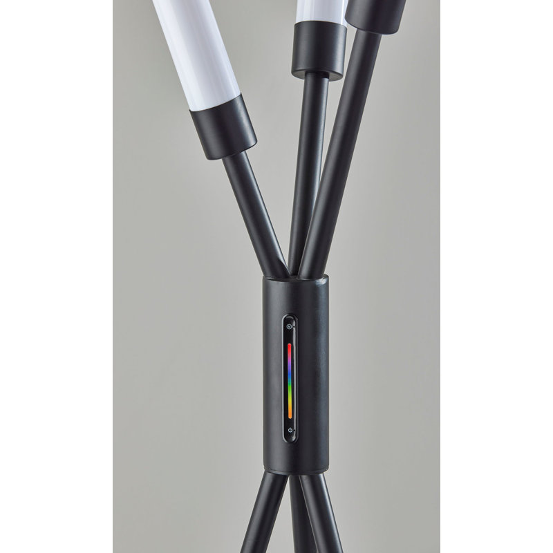 Barcelo 62.5'' Black LED Tripod Floor Lamp