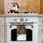 Beige French Bulldog Portrait