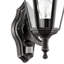 Deonte Outdoor Wall Lantern-13609999