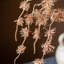 Plante artificielle 33,46 po Cangli-800132685-800132674