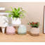 Petit pot en terre cuite roulé à la main avec soucoupe intégrée - Intérieur-1299429188-1299429190