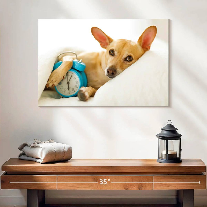 Brampt Dog Alarm, 16" H x 24" W