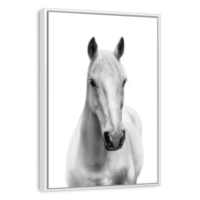 Slim White Horse