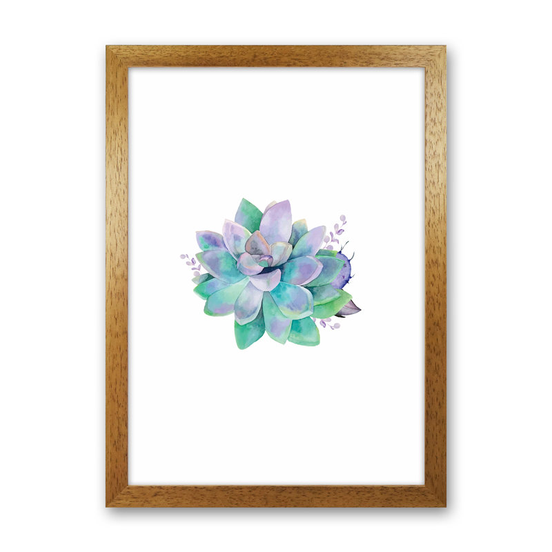Aqua Succulent - Print, Brown Framed, 34cm H x 25cm W x 3cm D
