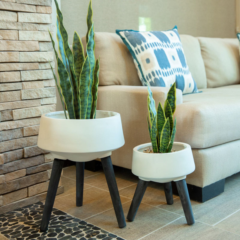 Wroten Pot Planter, White/Black