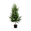 Artificial Norfolk Pine Tree-905056968