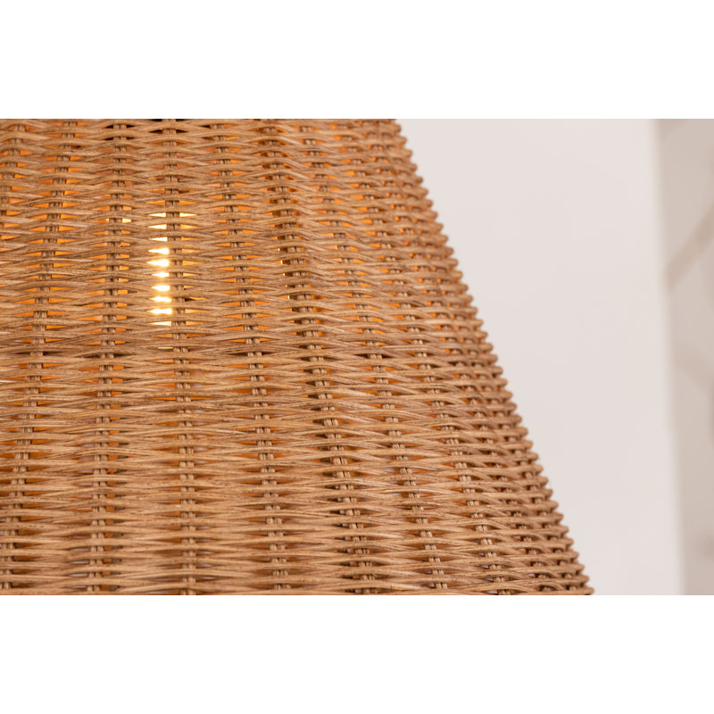 Alexadra Plug-in Armed Sconce