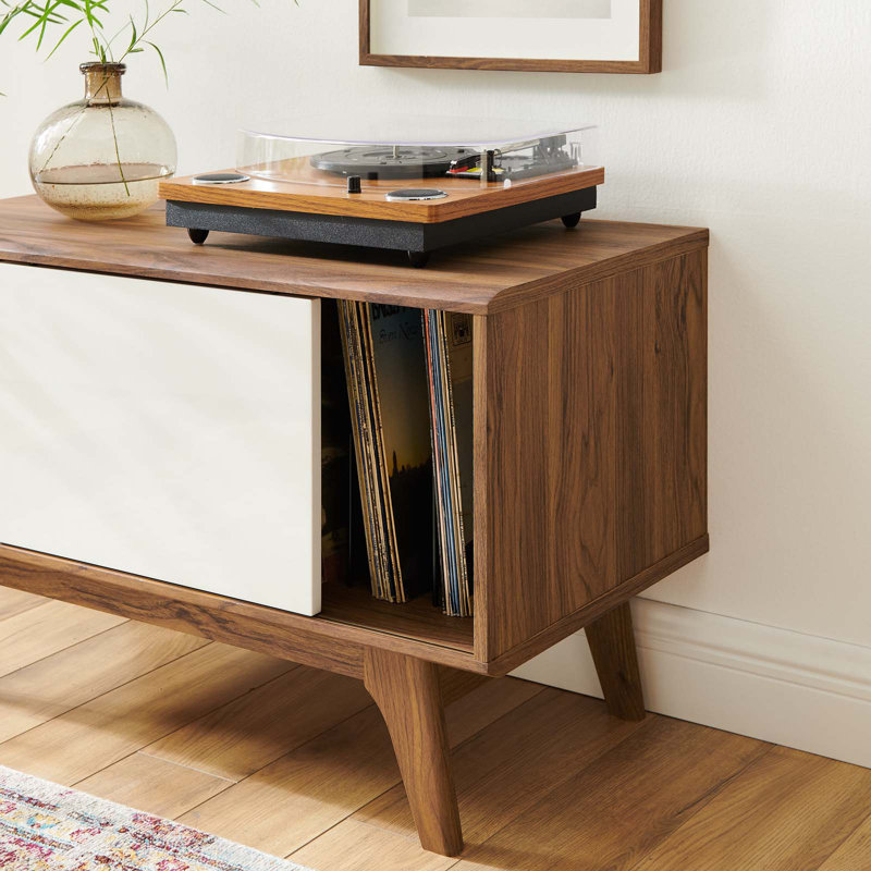 Envision 1 Door Accent Cabinet