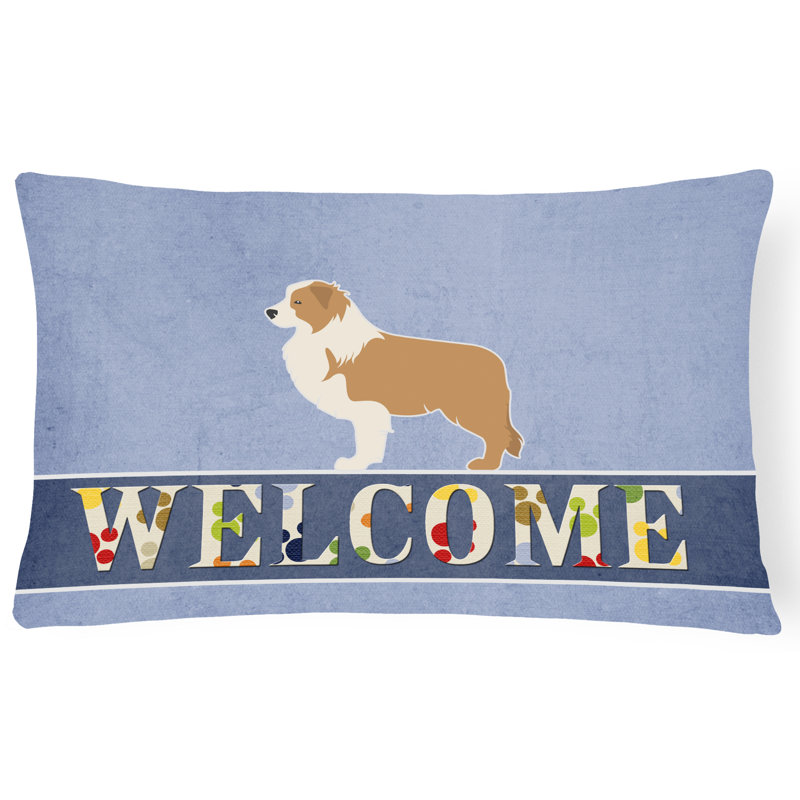  Coussin Border Collie
