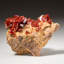 Genuine Vanadinite Crystal Cluster On Matrix From Morocco (202.9 Grams)