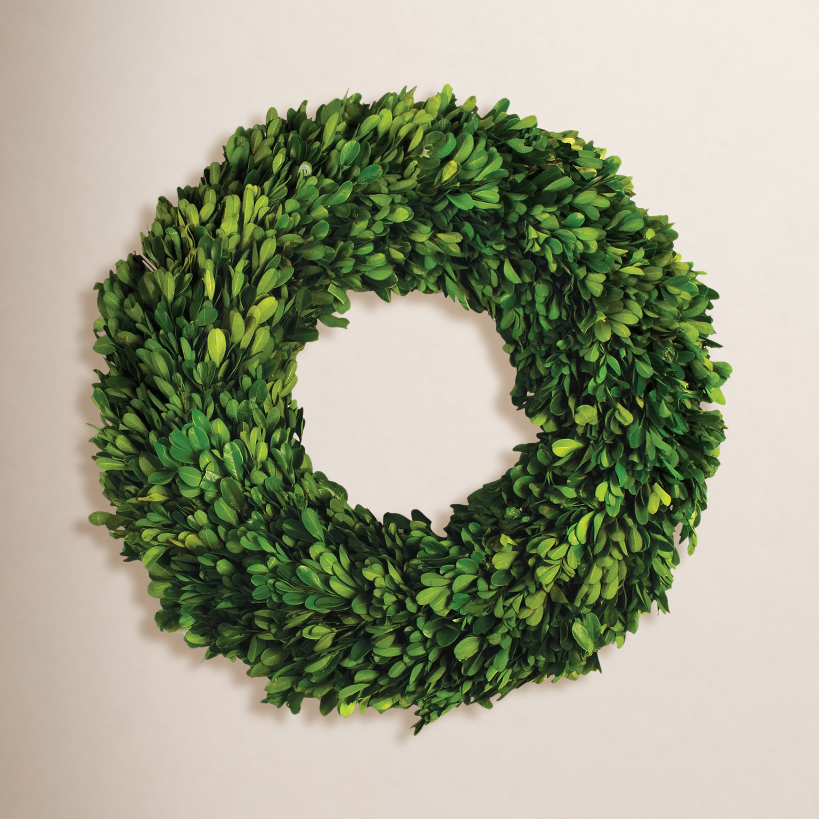 Birch Lane™ Alby 31" Boxwood Wreath, 16" H x 16" W x 2.75" D