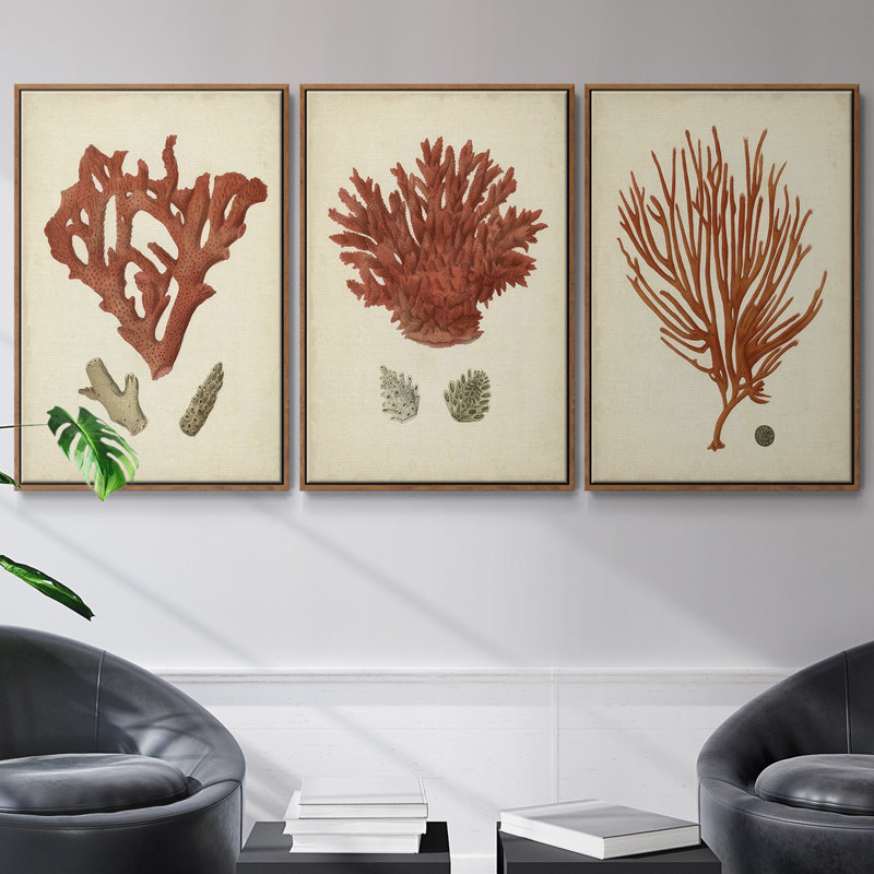 Ensemble de 3 toiles tendues Shell Collection, H 36 po x l 72 po, Noyer