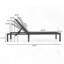Chaise longue d'extérieur (ensemble de 2)