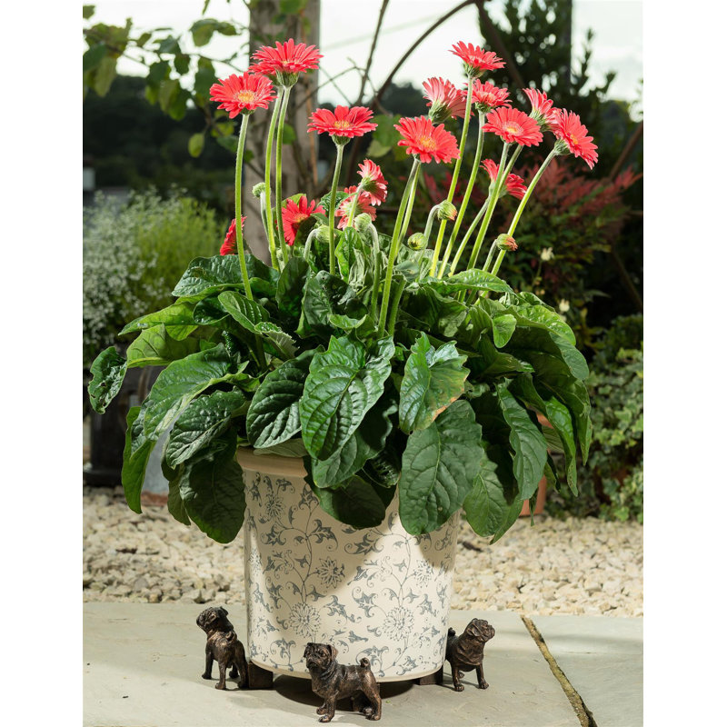 Perseus Weather Resistant Planter Feet