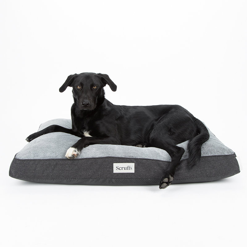 Scruffs Harvard Orthopedic Dog Bed - For Ultra Support & Comfort, Graphite Grey, 10cm H x 120cm W x 75cm D