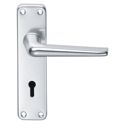 Ellaline Lock Door Handle