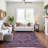 Premium Machine Washable Larock AMF1240 Medallion Rug-115170188