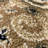 Luxe Weavers Oriental Floral Area Rug-1562304574