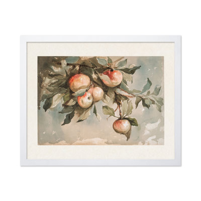 Study of Apples