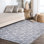 Mashawna Blocks Modern Geometric Light Gray/White Rug