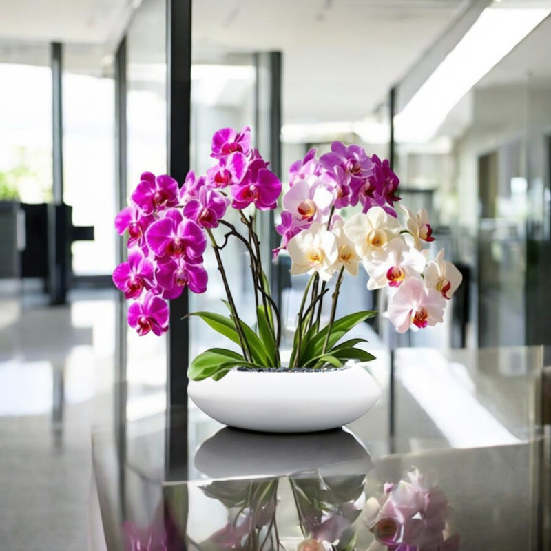 Pot à fleurs Deberry, Blanc